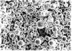 10-5 Typical inert gas atomized Co-Cr-Mo powder.png