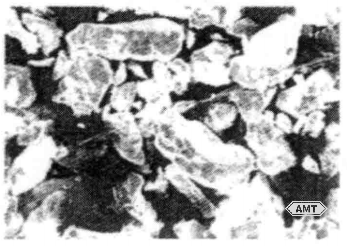 AMT | Application of Powder Metallurgy Structural Parts in Dental Amalgam Alloys
